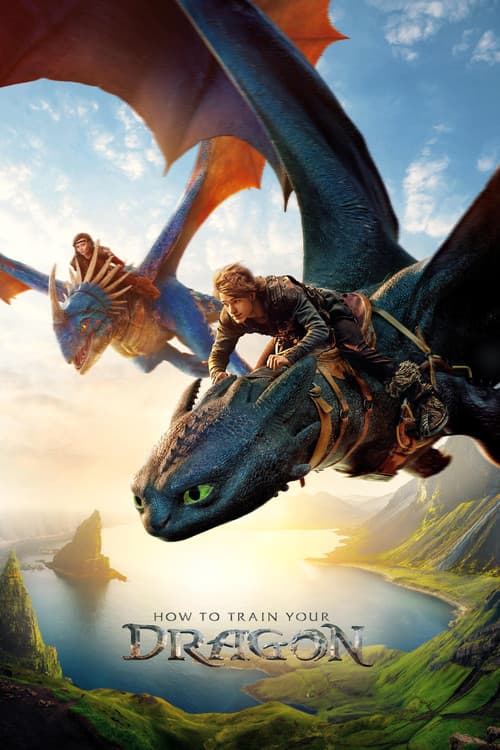 How to Train Your Dragon poster